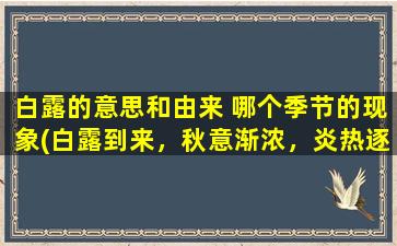 白露的意思和由来 哪个季节的现象(白露到来，秋意渐浓，炎热逐渐退却)